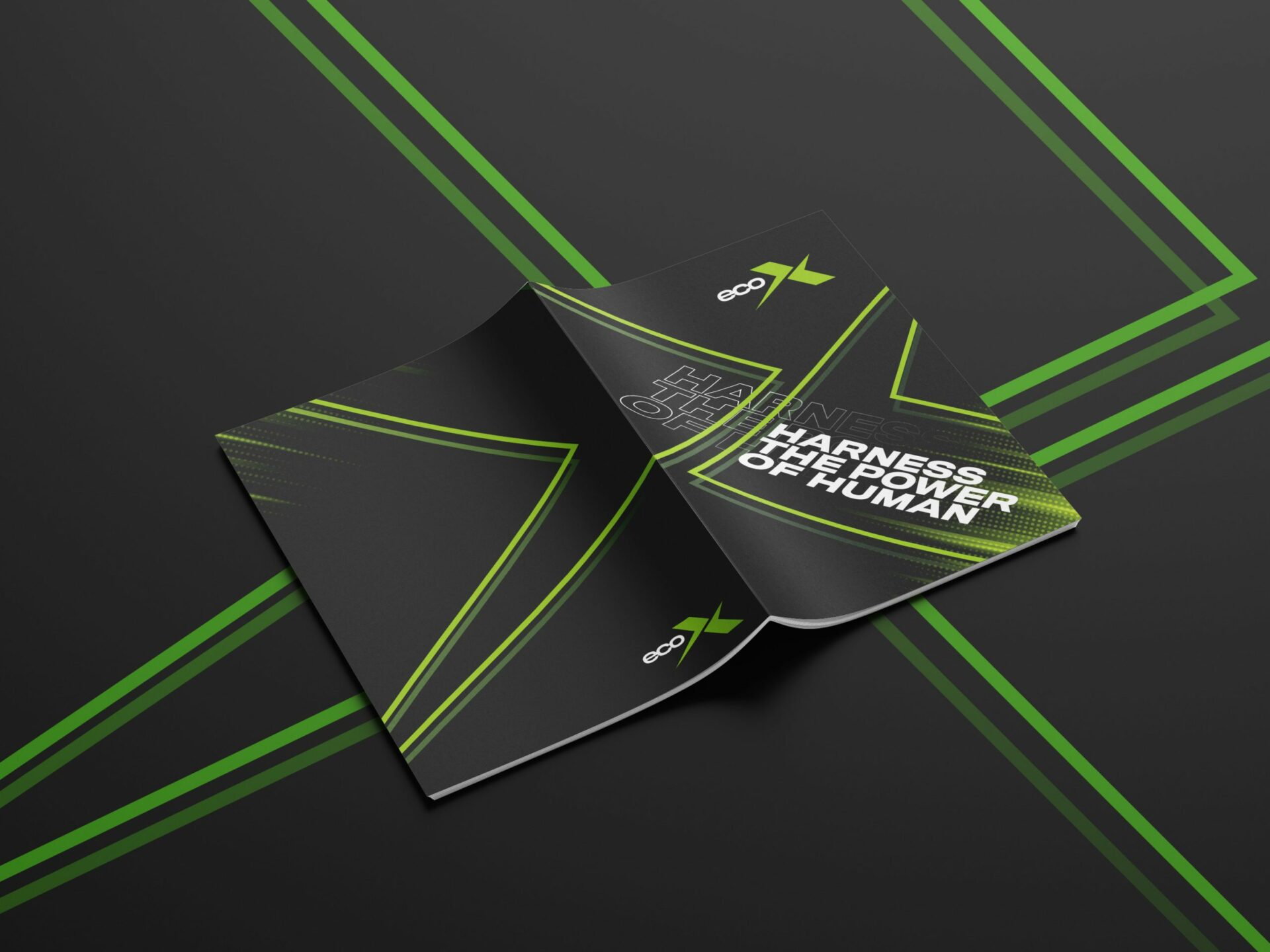 EcoX Brochure - Design Agency Brighton