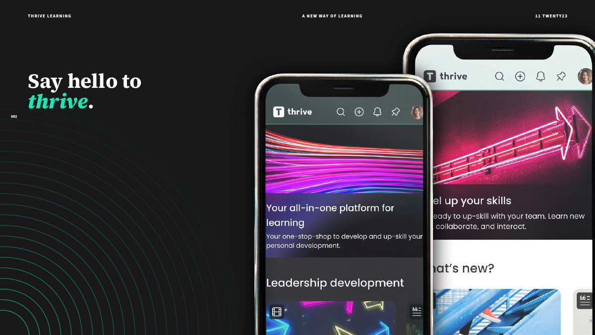 Thrive Slide - Design Agency Brighton
